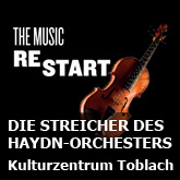 200806_HaydnStreicher_165x165_de
