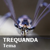 201027_Trequanda_165x165