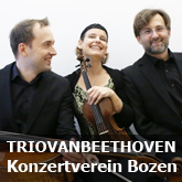 201006_TrioVanBeethoven_165x165_de